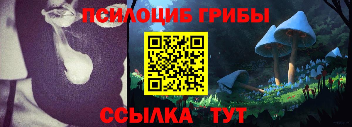 Галлюциногенные грибы мицелий Арсеньев