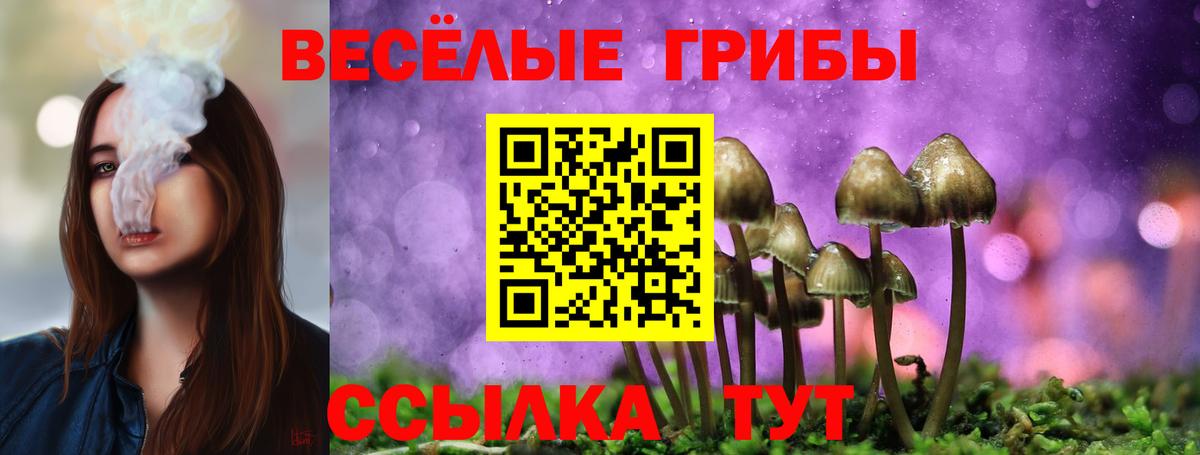 Галлюциногенные грибы мухоморы  Вход с VPN  Псилоцибиновые грибы прущие грибы  цена   Арсеньев 